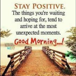 Meet your Posher, Dawn